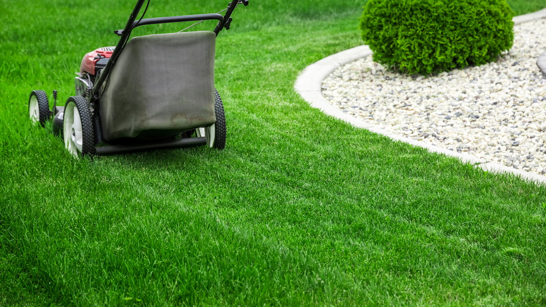 Yard Maintenance Calgary